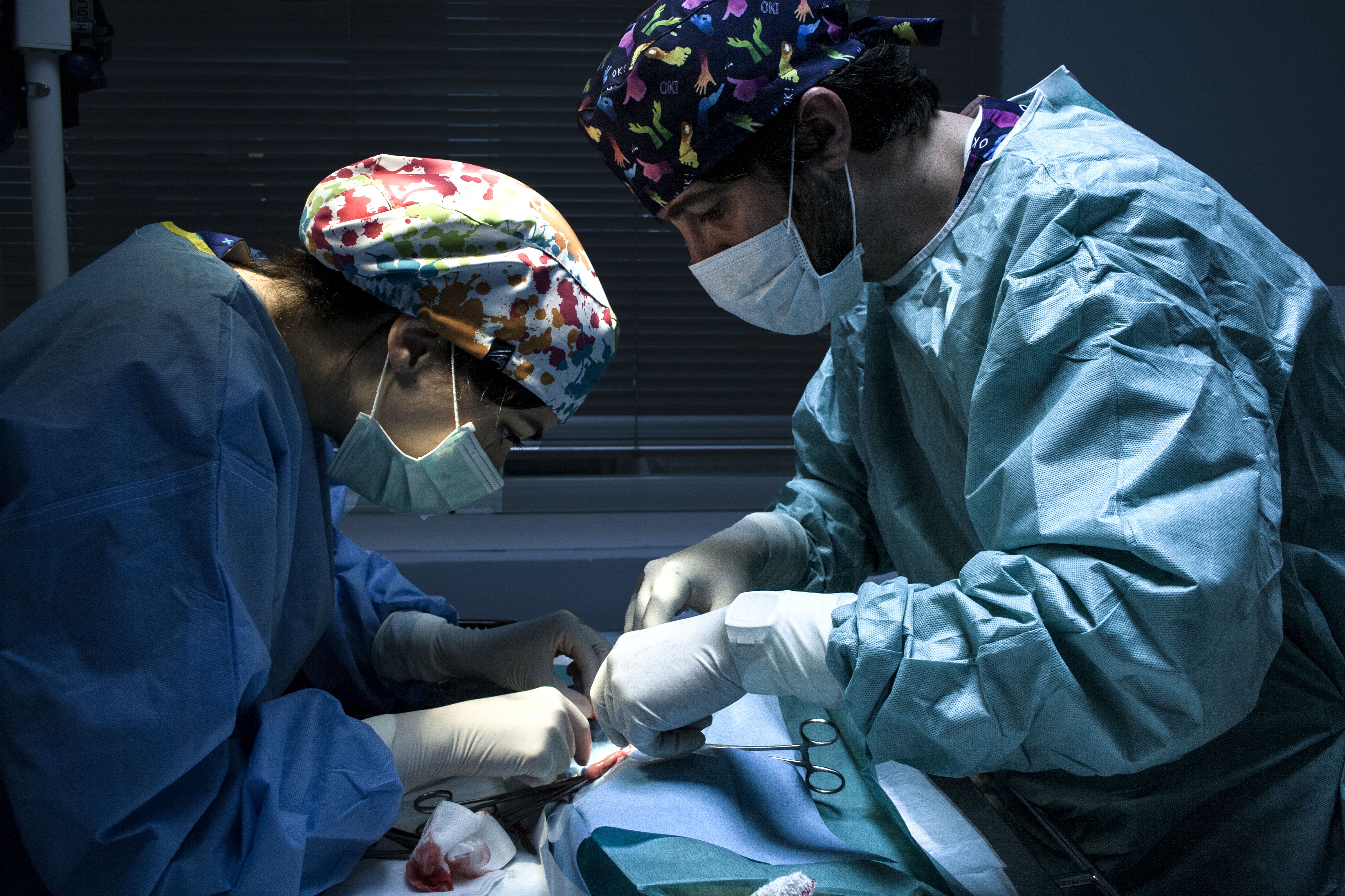 Servicio 24 horas en Ciudad Real: Servicios Veterinarios de Hospital Veterinario Ciudad Real Servicio 24 horas en Ciudad Real: Servicios Veterinarios de Hospital Veterinario Ciudad Real