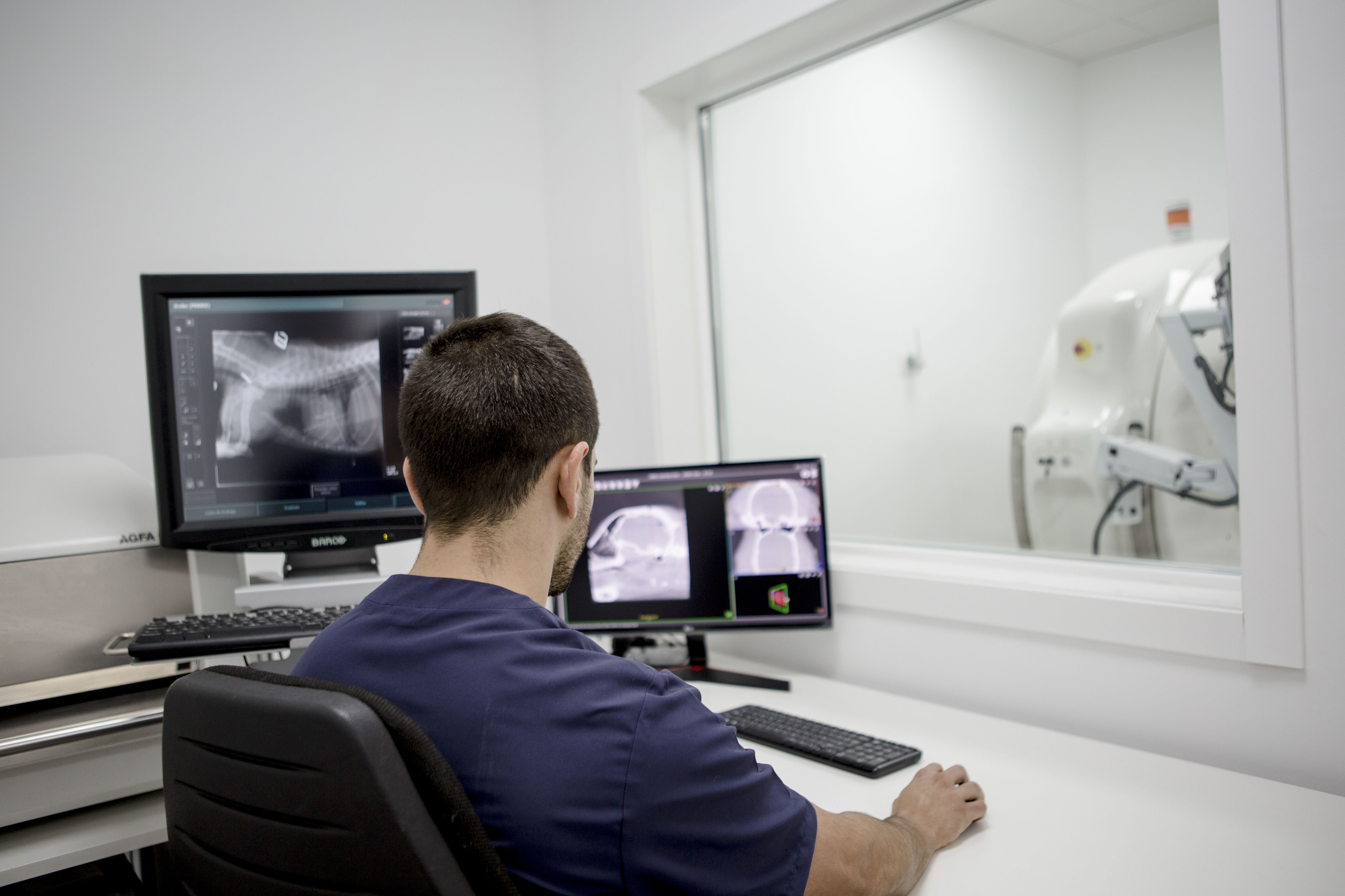 Especialidades: Servicios Veterinarios de Hospital Veterinario Ciudad Real Especialidades: Servicios Veterinarios de Hospital Veterinario Ciudad Real