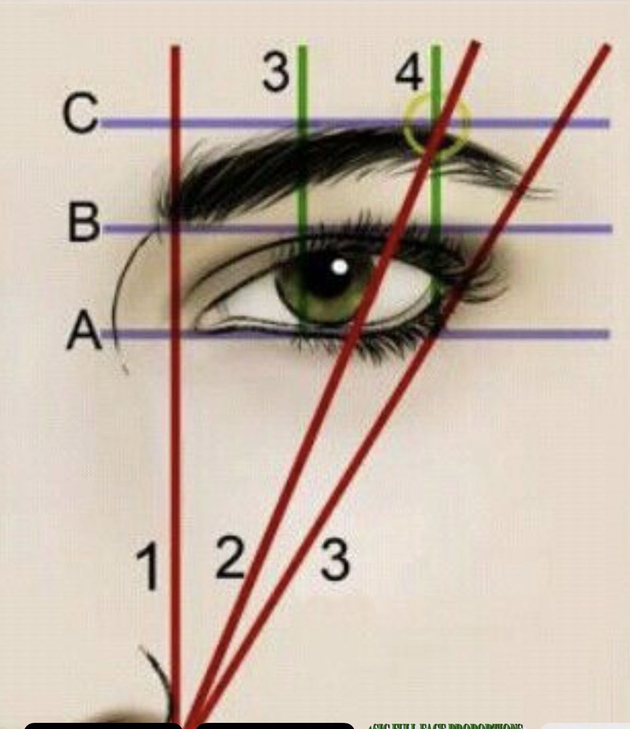 Diseño cejas Diseño cejas