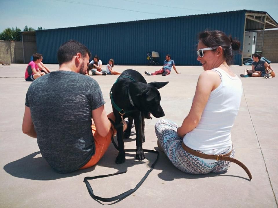 Educación canina: Servicios de Cinopolis Adiestramiento y Educación Canina Educación canina: Servicios de Cinopolis Adiestramiento y Educación Canina