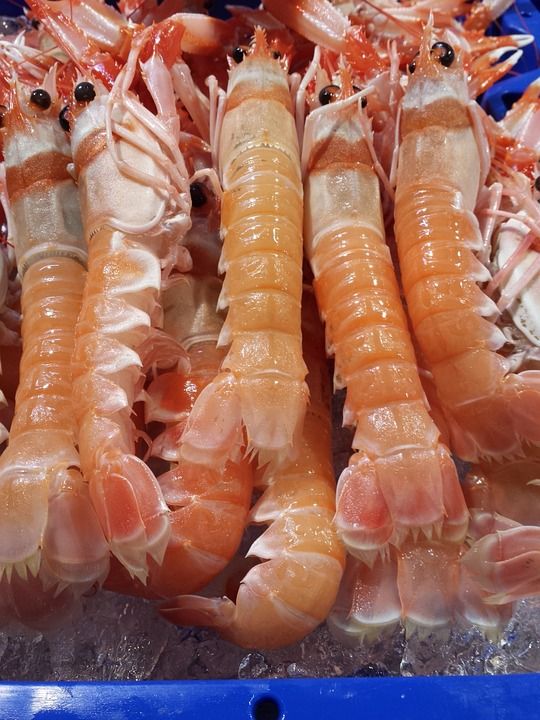 Pescados y mariscos en venta: Servicios de Pescados Cano Pescados y mariscos en venta: Servicios de Pescados Cano