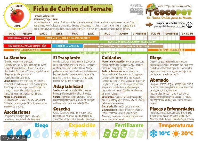 Fichas de Cultivo en Huerta: de Huertos Azor Fichas de Cultivo en Huerta: de Huertos Azor
