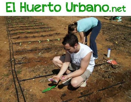 web Elhuertourbano.net: de Huertos Azor web Elhuertourbano.net: de Huertos Azor