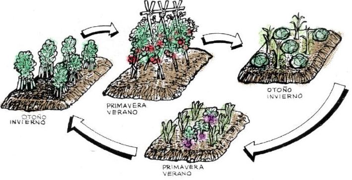 Rotaciones de cultivo: de Huertos Azor Rotaciones de cultivo: de Huertos Azor