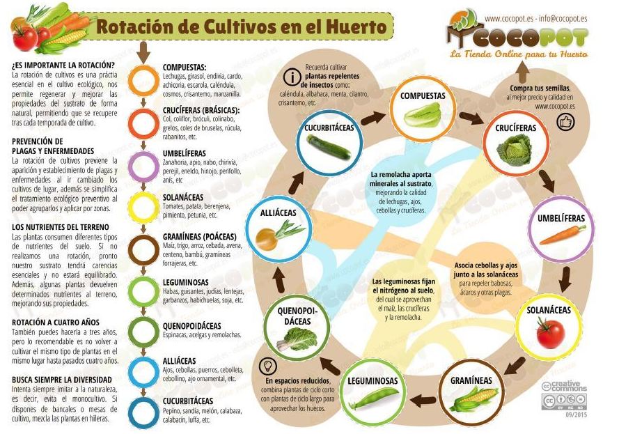Guías visuales: de Huertos Azor Guías visuales: de Huertos Azor