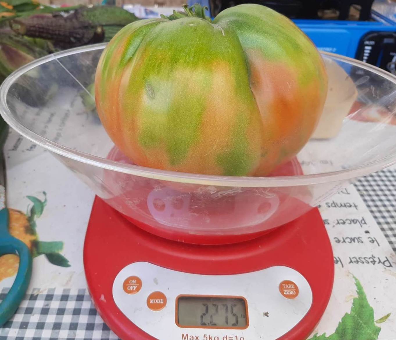 Tomate 2,275 kg Cosecha 2021 Huertos AZOR