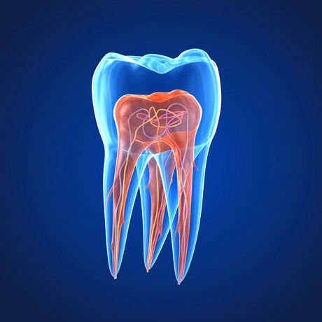 Endodoncia Martorell Endodoncia Martorell
