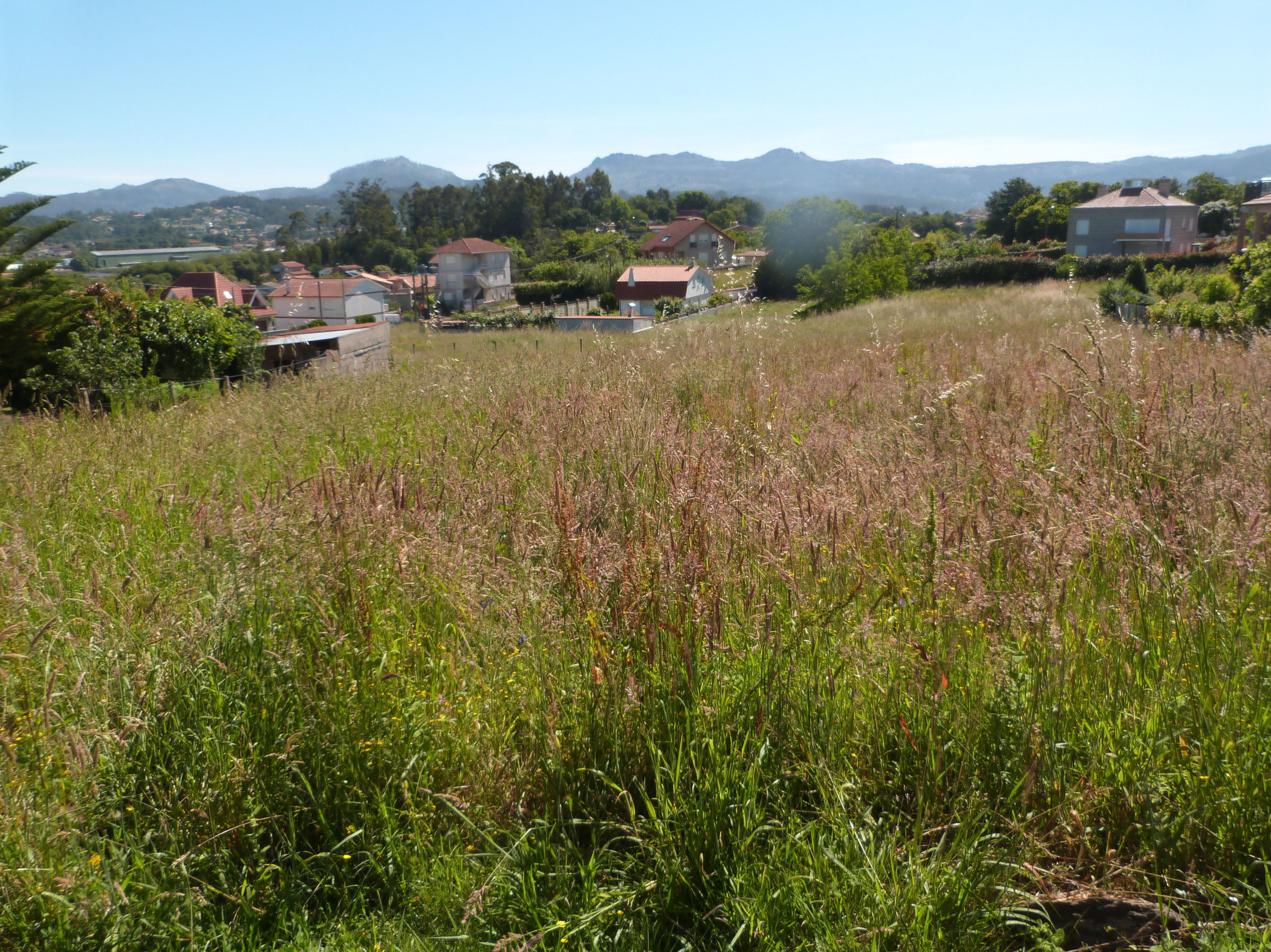 Terreno Edificable Gondomar F.: Inmuebles de Céltico Inmobiliaria Terreno Edificable Gondomar F.: Inmuebles de Céltico Inmobiliaria