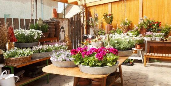 Decoración de jardines: Catálogo de Indoor Garden Decoración de jardines: Catálogo de Indoor Garden