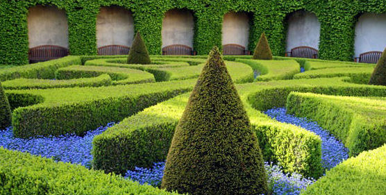 Diseño de jardines: Catálogo de Indoor Garden Diseño de jardines: Catálogo de Indoor Garden