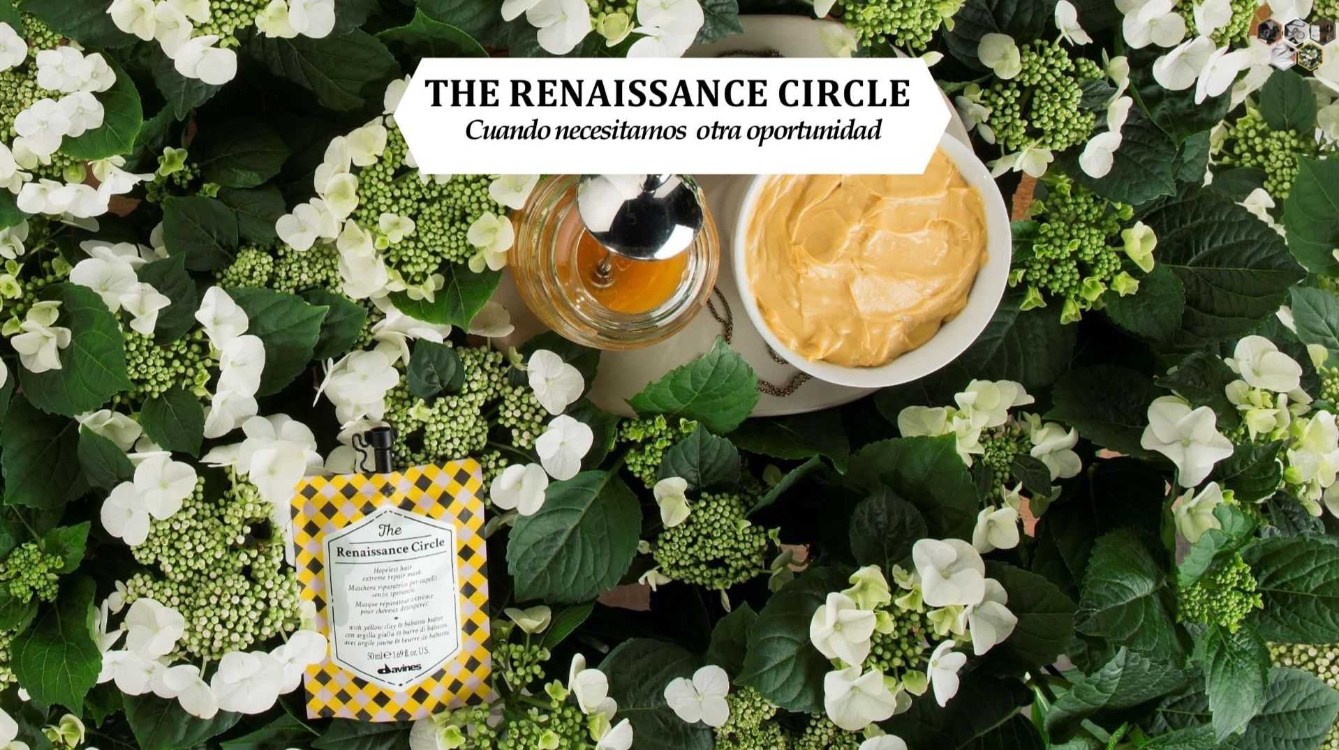 THE RENAISSANCE CIRCLE: Alta Cosmética Natural de Sostenible Beauty Concepts THE RENAISSANCE CIRCLE: Alta Cosmética Natural de Sostenible Beauty Concepts