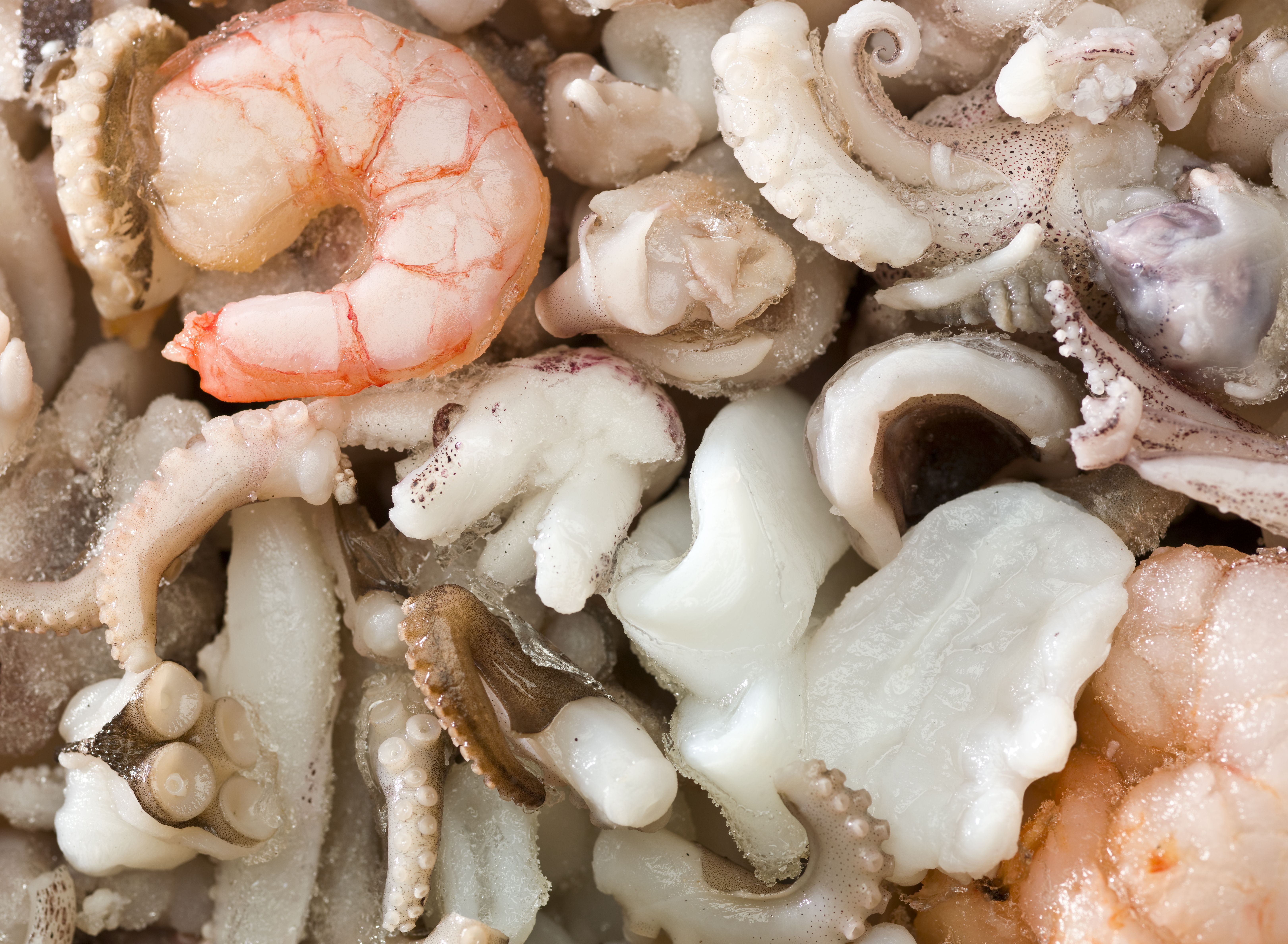Conservas y congelados: Pescadería de NAGORETXEA GERNIKA Conservas y congelados: Pescadería de NAGORETXEA GERNIKA