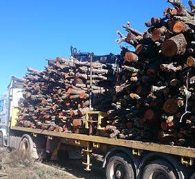 Venta y distribución de leña: Productos y servicios de Secoleñas Venta y distribución de leña: Productos y servicios de Secoleñas