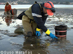 Laboral : Nuestros servicios de Asemar Laboral : Nuestros servicios de Asemar