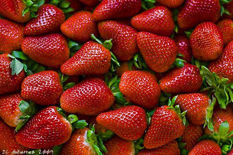 Foto 8 de Frutas y hortalizas en Palos de la Frontera | Ernesto Rojas, S. L. U.