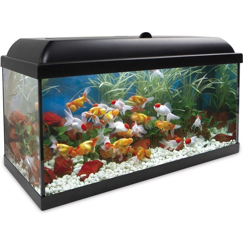 AQUA-LED PRO 100 NEGRO AQUA-LED PRO 100 NEGRO