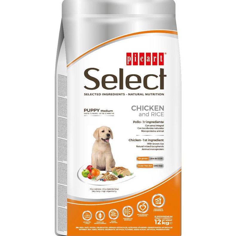 PICART SELECT PUPPY MEDIUM: Tienda Virtual Planeta Azul de Planeta Azul PICART SELECT PUPPY MEDIUM: Tienda Virtual Planeta Azul de Planeta Azul
