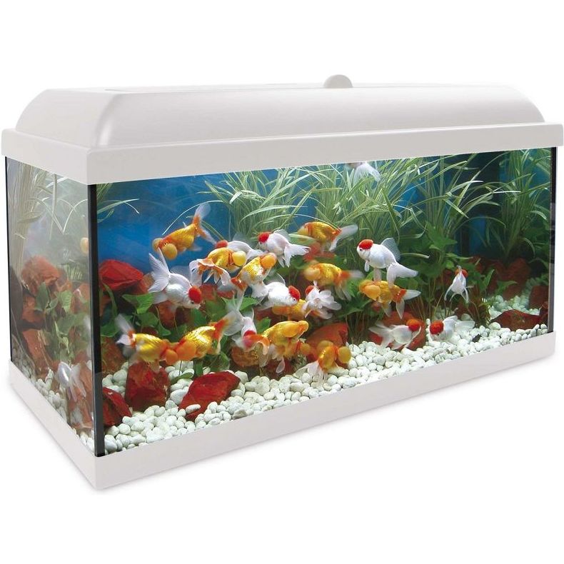 AQUA-LED PRO 100 BLANCO AQUA-LED PRO 100 BLANCO