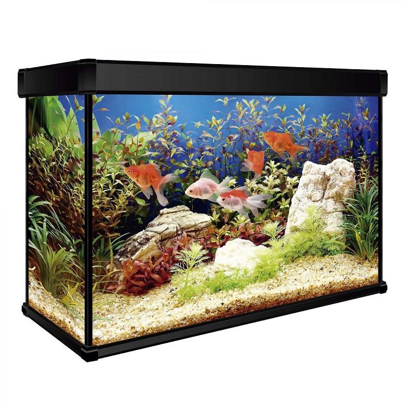 AQUA LUX PRO 68 NEGRO AQUA LUX PRO 68 NEGRO