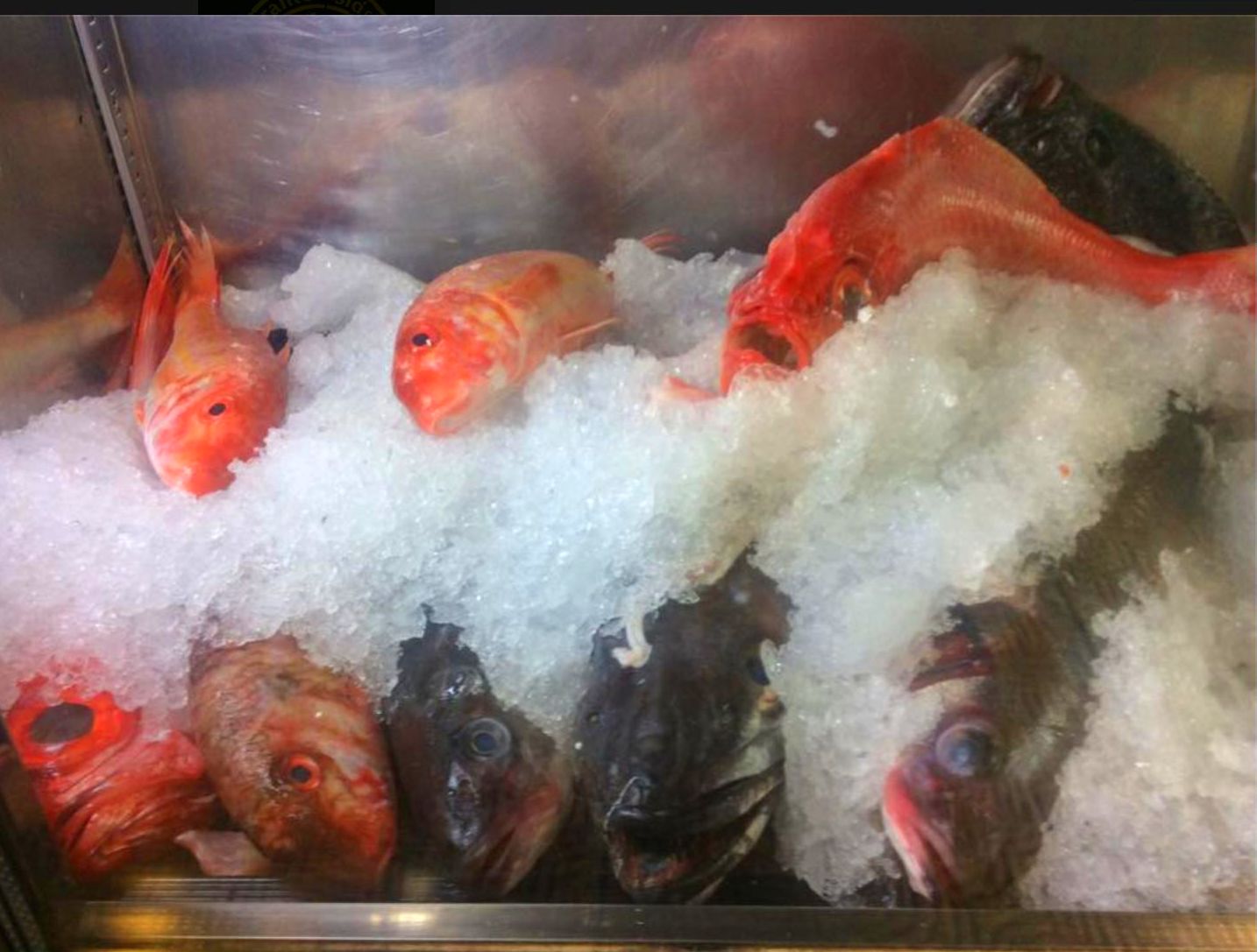 Restaurantes especialidad en pescados Gijon Restaurantes especialidad en pescados Gijon