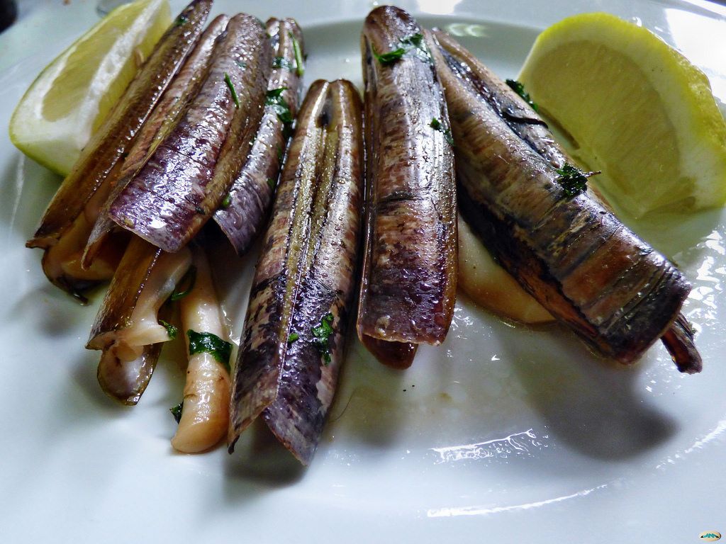 Mariscos del Cantábrico: Nuestra Carta de El Llagar de Begoña Mariscos del Cantábrico: Nuestra Carta de El Llagar de Begoña