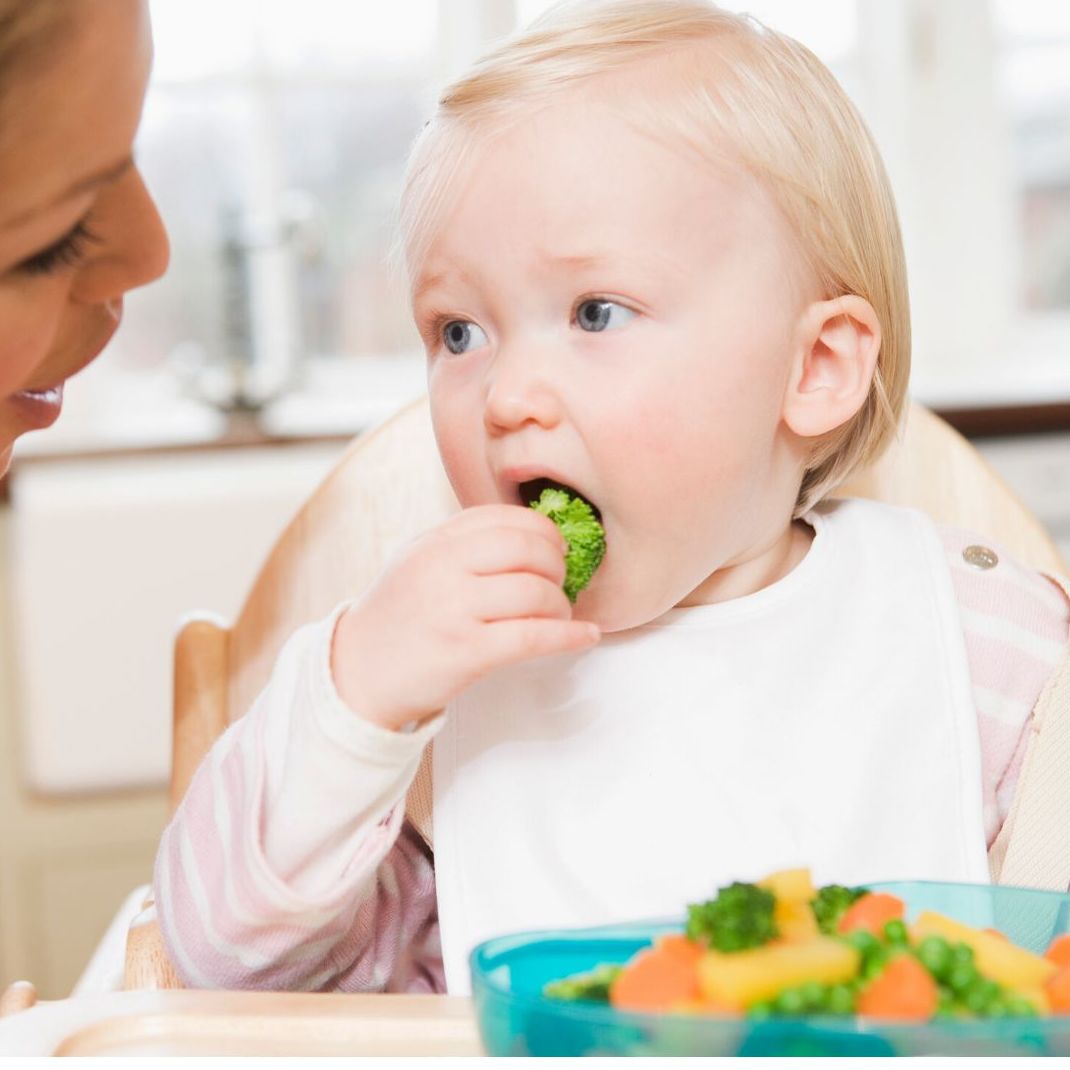 COMIDA COMO EN CASA: Servicios de Escuela Infantil Crecer COMIDA COMO EN CASA: Servicios de Escuela Infantil Crecer
