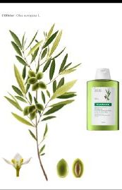 Klorane: Servicios y Productos de Farmacia Martínez Rementería Klorane: Servicios y Productos de Farmacia Martínez Rementería