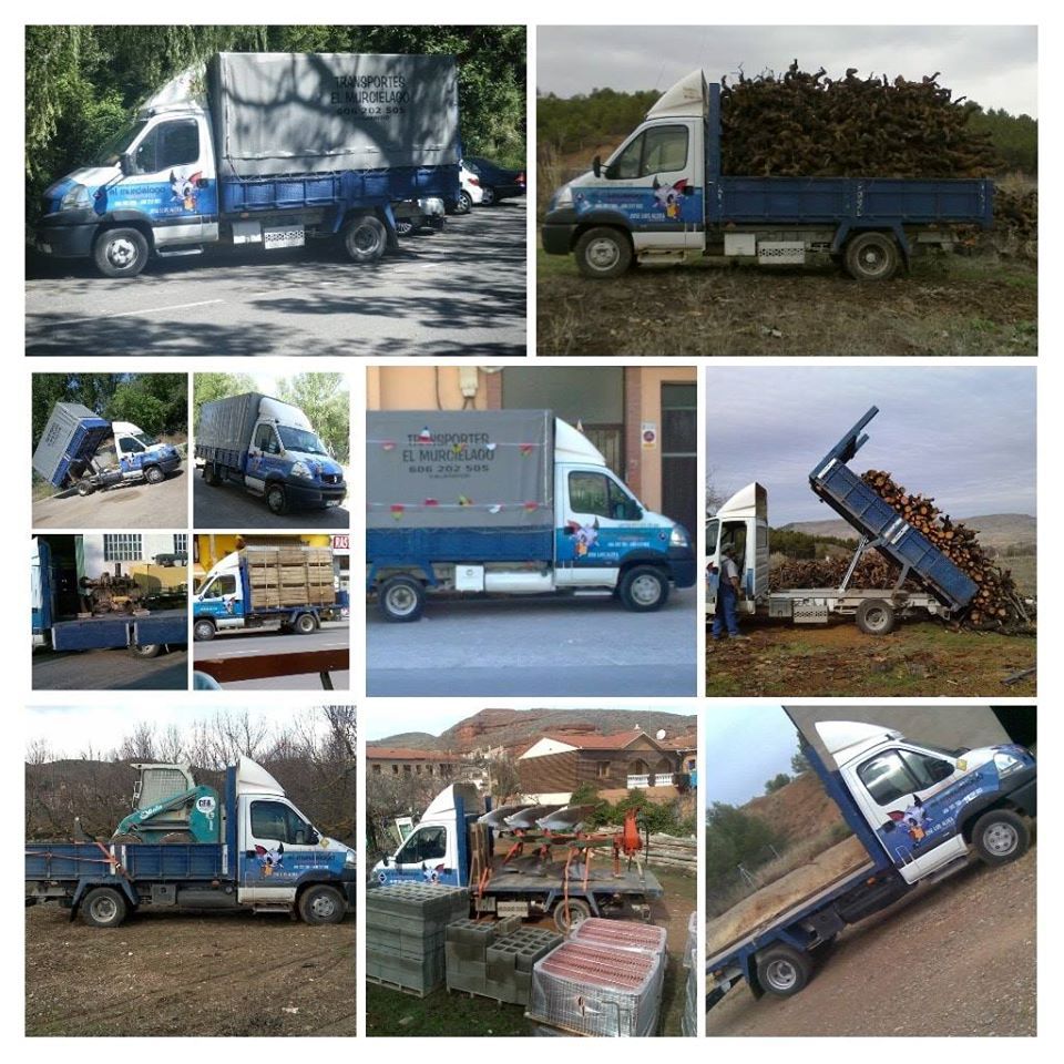 Limpieza y mantenimiento de jardines: Servicios de Transportes el murciélago Limpieza y mantenimiento de jardines: Servicios de Transportes el murciélago