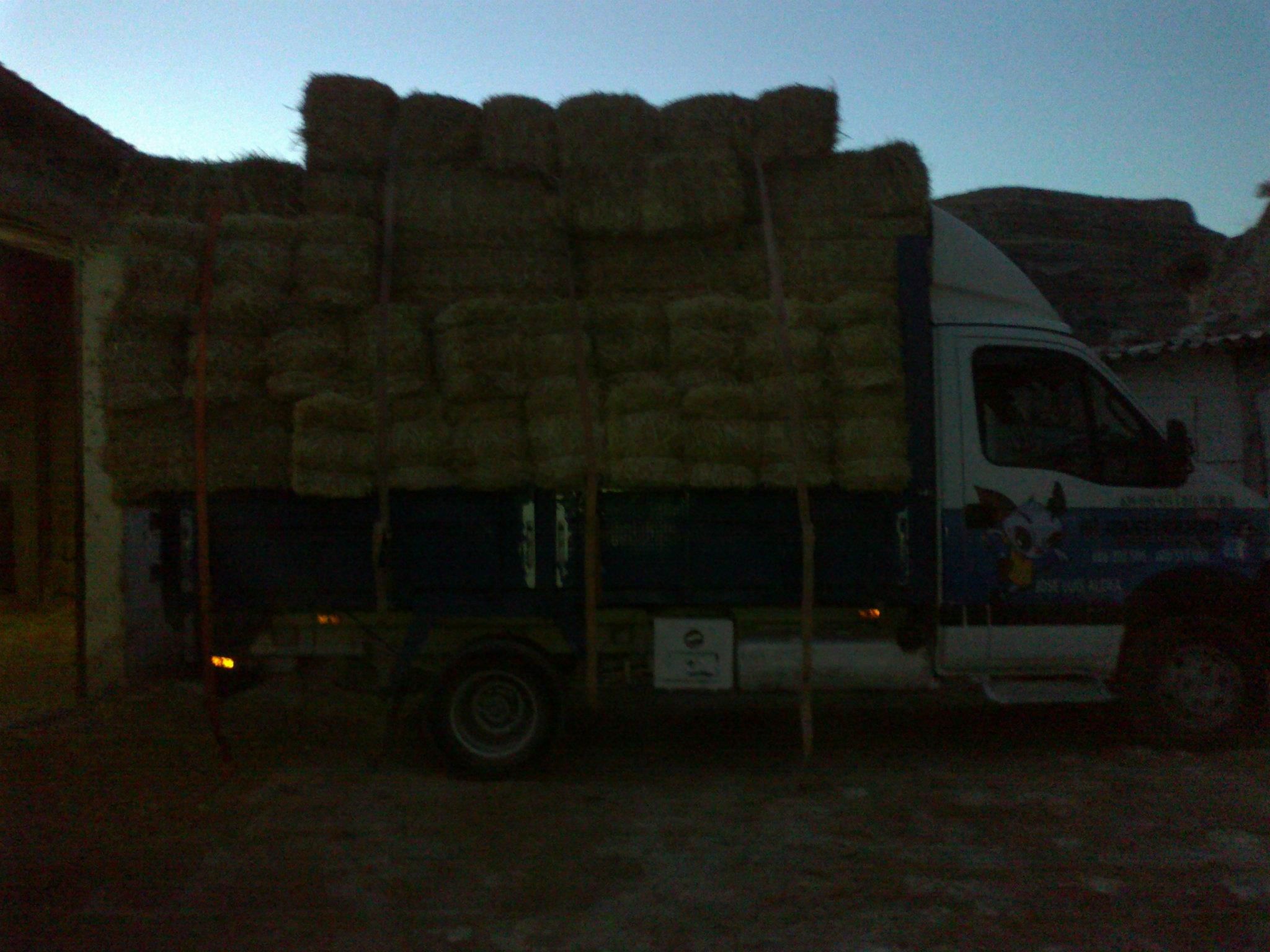 Transporte de mercancías: Servicios de Transportes el murciélago Transporte de mercancías: Servicios de Transportes el murciélago