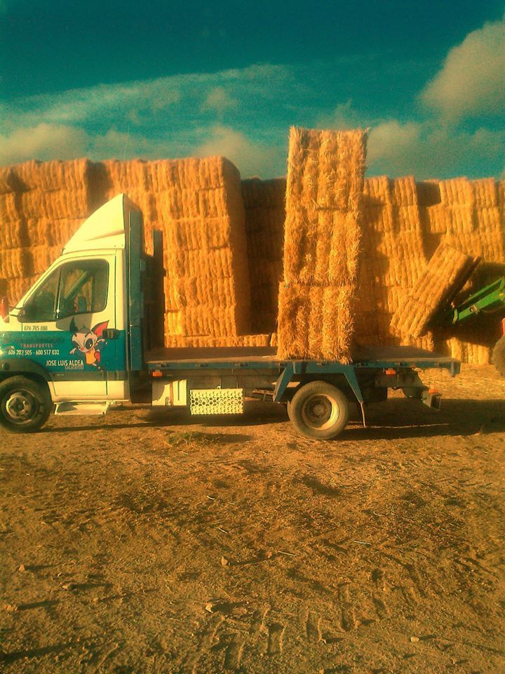 Transporte de áridos y materiales de construcción: Servicios de Transportes el murciélago Transporte de áridos y materiales de construcción: Servicios de Transportes el murciélago