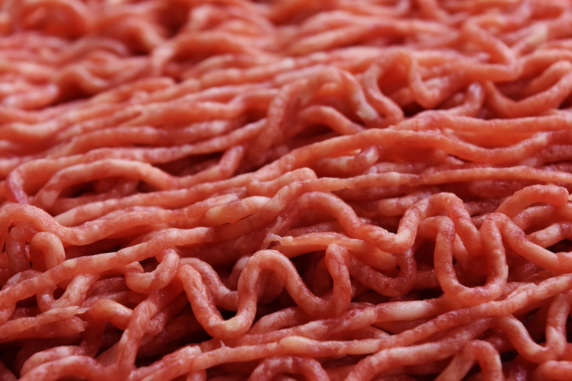 Carne de cerdo: Nuestras carnes de Carnicería M. Gandía Carne de cerdo: Nuestras carnes de Carnicería M. Gandía