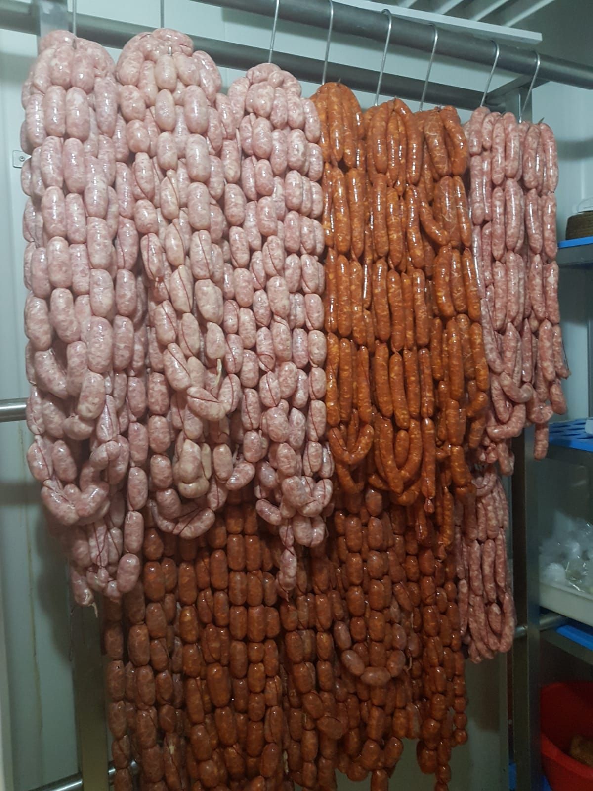 Embutidos: Nuestras carnes de Carnicería M. Gandía Embutidos: Nuestras carnes de Carnicería M. Gandía