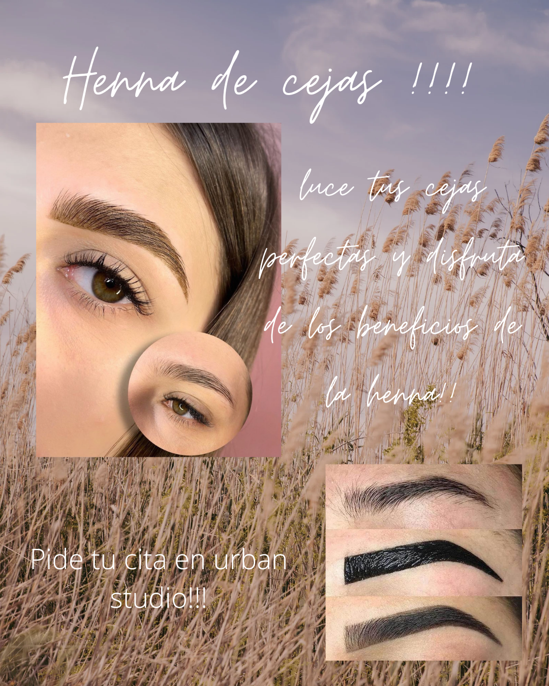Servicios de mirada perfecta: Servicios de Peluquería Ecológica - Urban Studio Servicios de mirada perfecta: Servicios de Peluquería Ecológica - Urban Studio