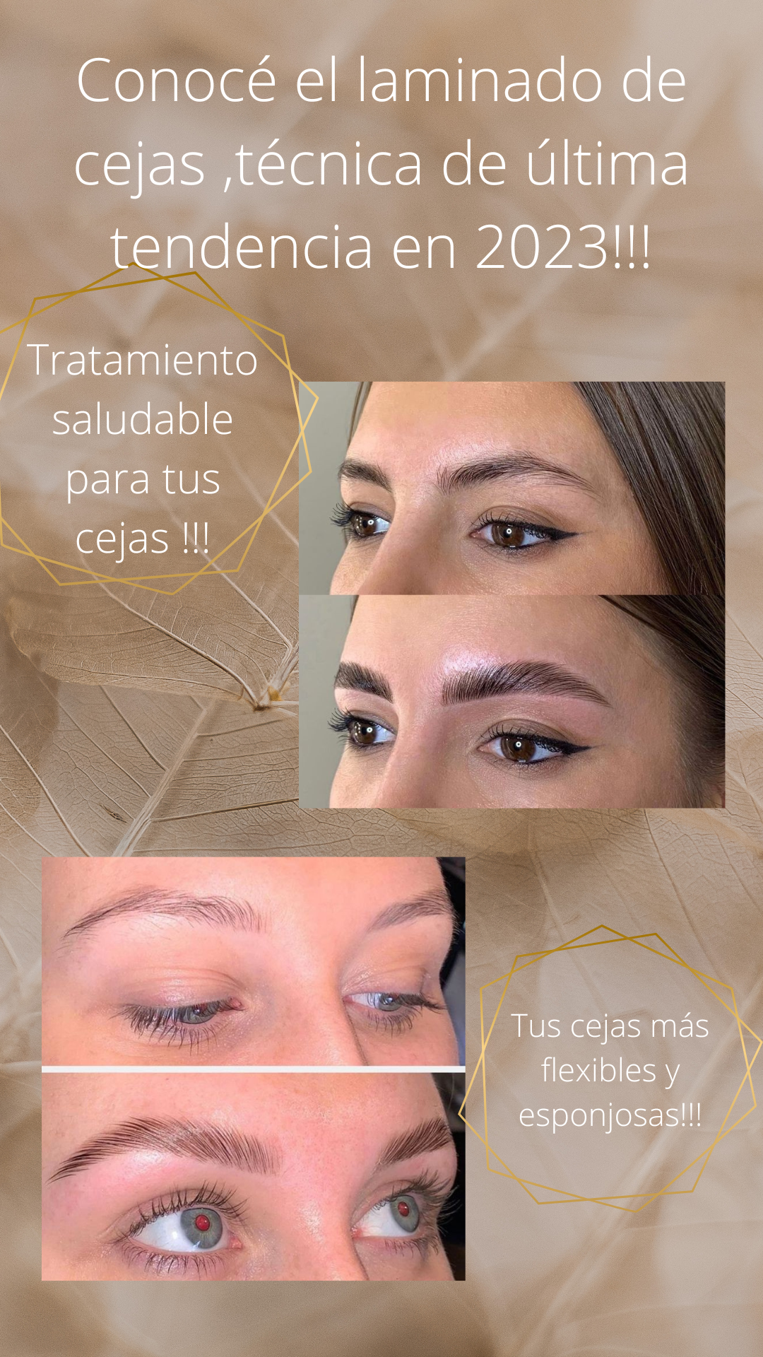 Servicios de mirada perfecta: Servicios de Peluquería Ecológica - Urban Studio Servicios de mirada perfecta: Servicios de Peluquería Ecológica - Urban Studio