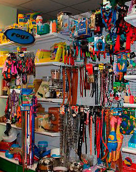 Complementos y accesorios para mascotas en Ourense