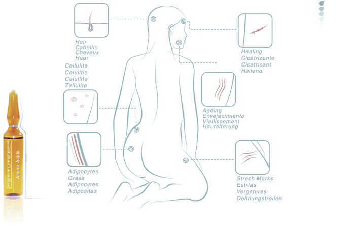 Aminoácidos: Productos de PLUS CLINIC Aminoácidos: Productos de PLUS CLINIC