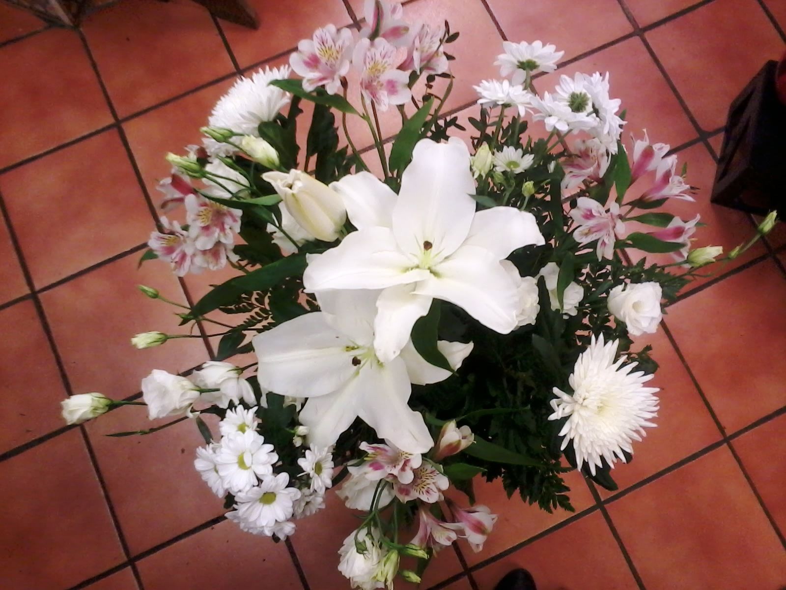 Ramo de flor: Catálogo de Flores de Sala - Floristería Ramo de flor: Catálogo de Flores de Sala - Floristería