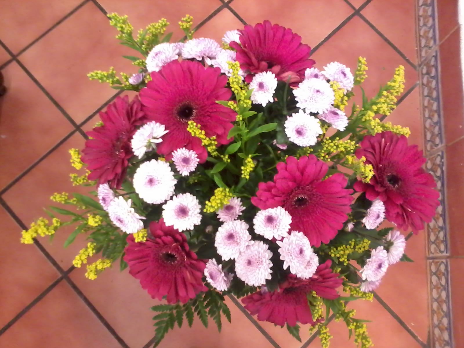 Ramo de flor: Catálogo de Flores de Sala - Floristería Ramo de flor: Catálogo de Flores de Sala - Floristería