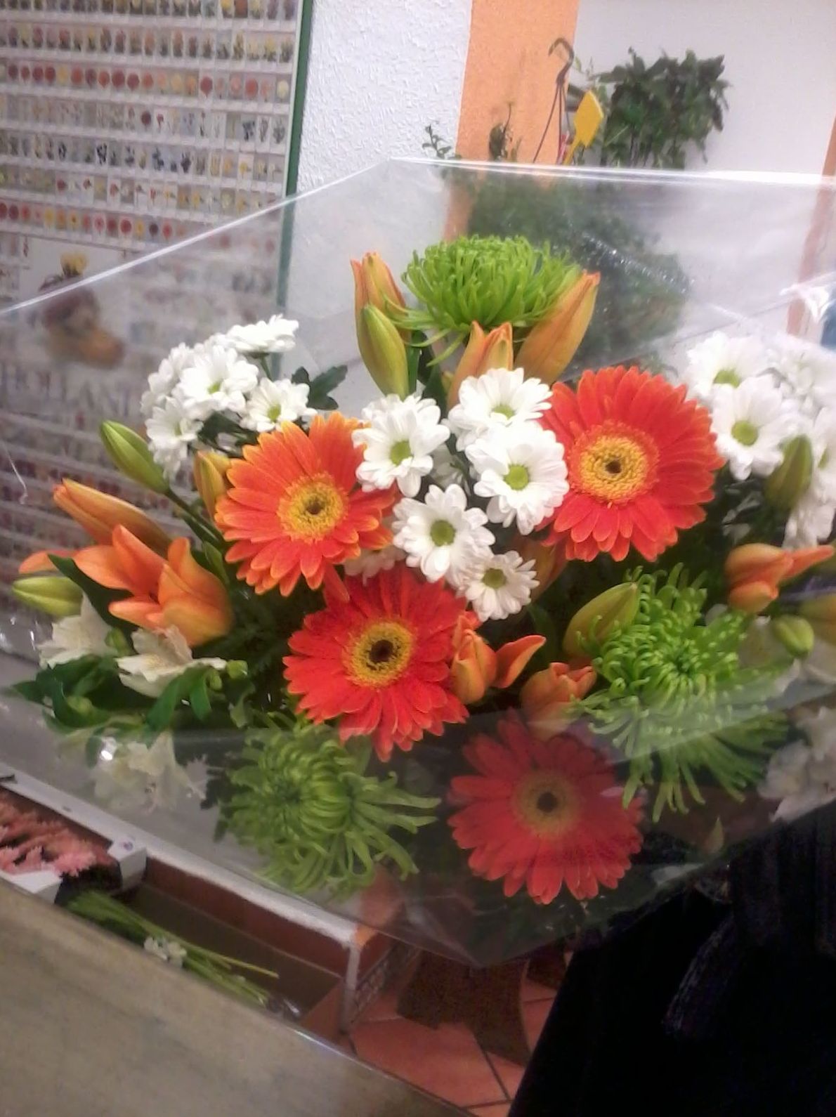 Ramo de flor: Catálogo de Flores de Sala - Floristería Ramo de flor: Catálogo de Flores de Sala - Floristería