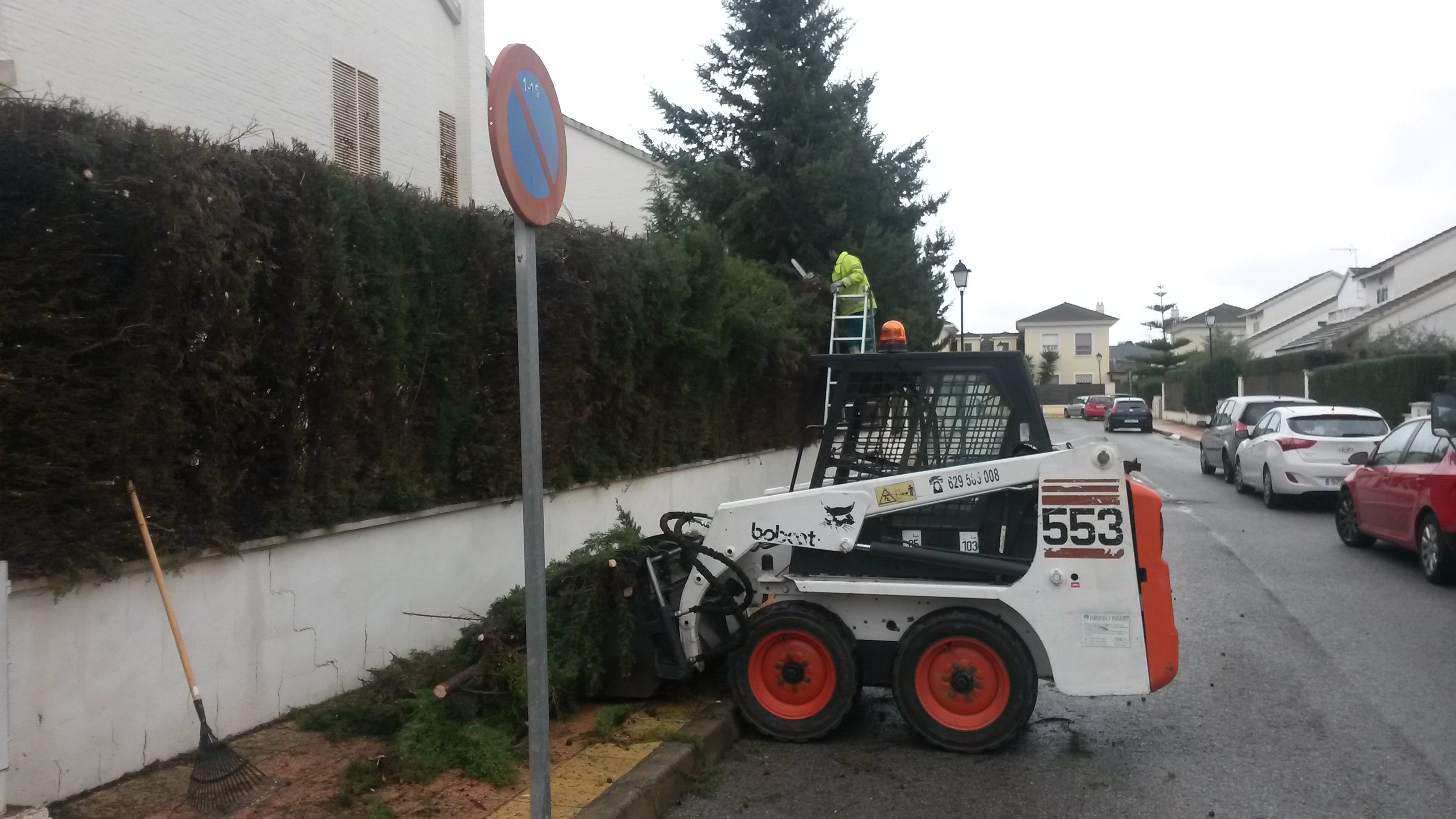 CORTE A NIVEL Y REBAJES DE SETOS : Servicios de Jardines y paisajes CORTE A NIVEL Y REBAJES DE SETOS : Servicios de Jardines y paisajes