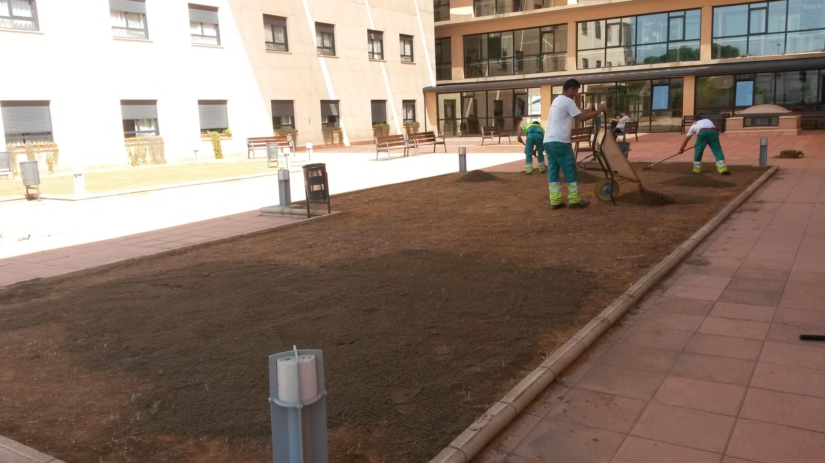 CÉSPED ARTIFICIAL : Servicios de Jardines y paisajes CÉSPED ARTIFICIAL : Servicios de Jardines y paisajes