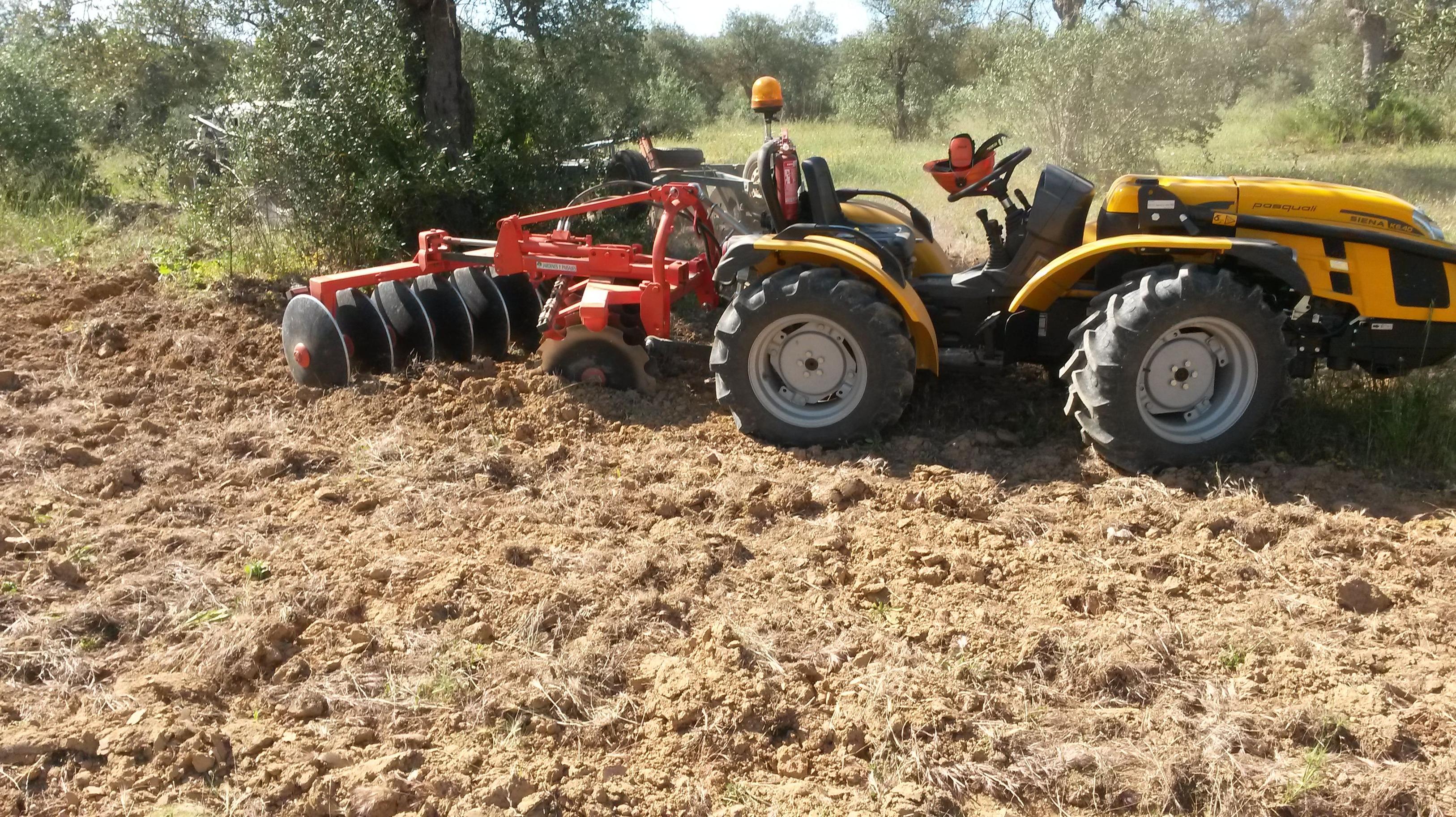 Gradeo y limpieza de parcelas y fincas Gradeo y limpieza de parcelas y fincas