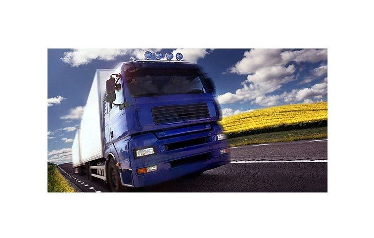 Transporte nacional e internacional de cargas completas y grupajes: Servicios de Transportes Mitxelena Romo S.L. }}