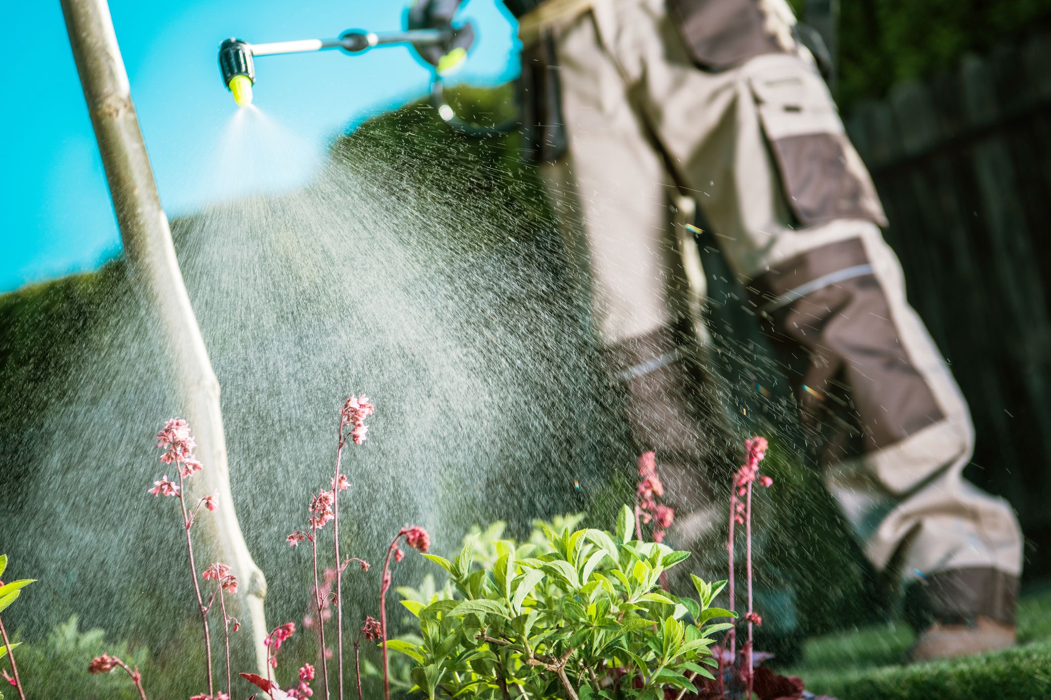 Tratamientos fitosanitarios: Servicios de Control de Plagas Cepla Canarias Tratamientos fitosanitarios: Servicios de Control de Plagas Cepla Canarias