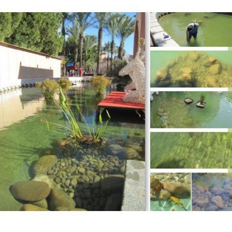 Beneficios para los estanques públicos: Tratamiento de aguas de SOB Distribuidores Beneficios para los estanques públicos: Tratamiento de aguas de SOB Distribuidores