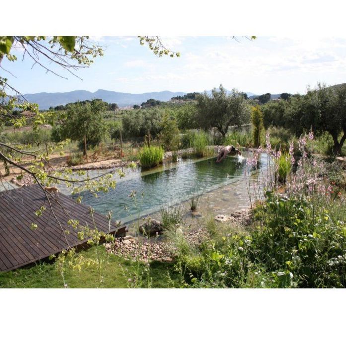 Piscinas: Tratamiento de aguas de SOB Distribuidores Piscinas: Tratamiento de aguas de SOB Distribuidores