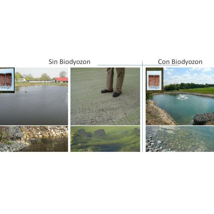 Beneficios para los campos de golf: Tratamiento de aguas de SOB Distribuidores Beneficios para los campos de golf: Tratamiento de aguas de SOB Distribuidores