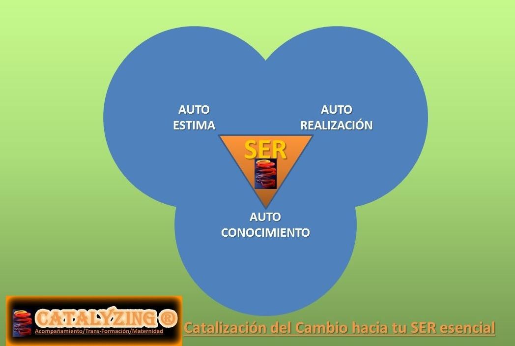 1 - CATALYZING ® – Catalización del cambio: En que te ayudo de El Salón de los Espejos 1 - CATALYZING ® – Catalización del cambio: En que te ayudo de El Salón de los Espejos