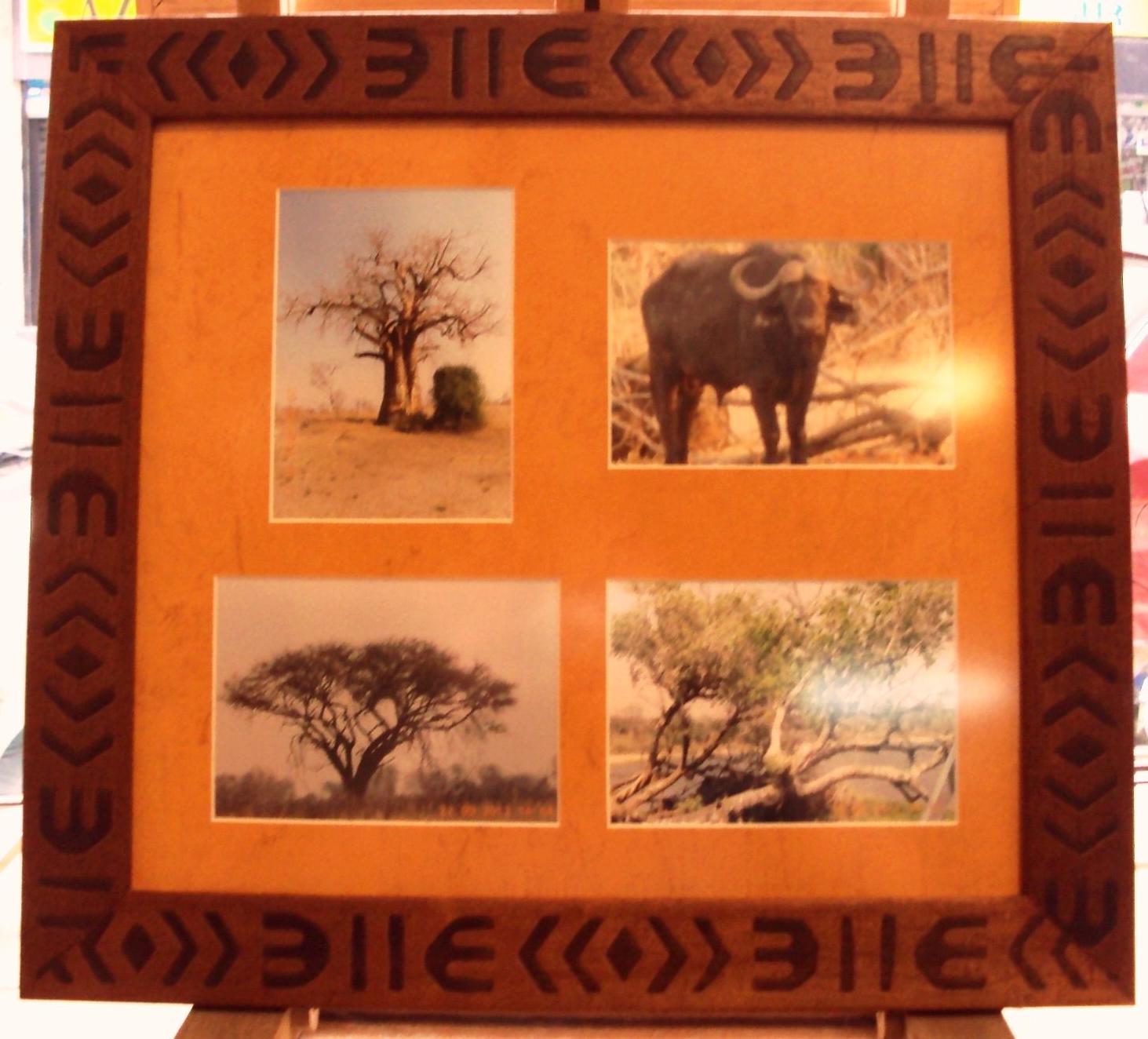 FOTOS DE MI VIAJE A AFRICA FOTOS DE MI VIAJE A AFRICA