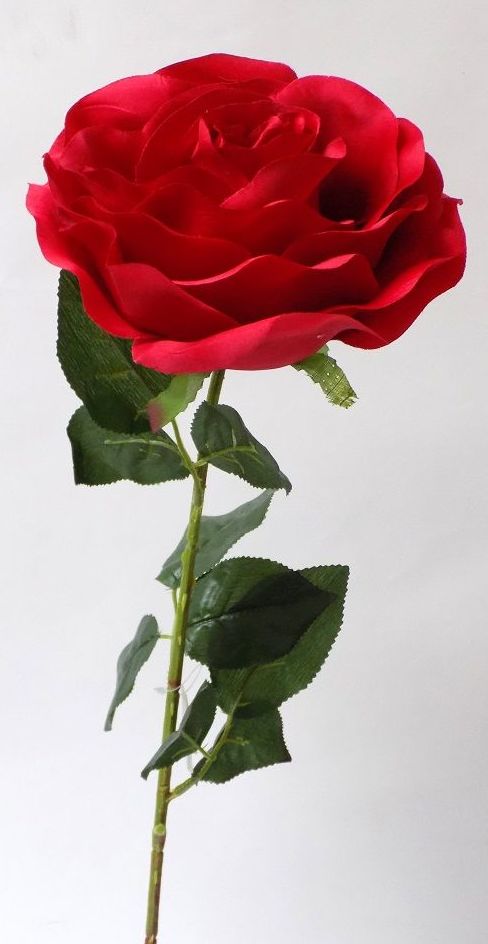 VARA ROSA GIGANTE (77 CM) COLOR:ROJO REF.:30057 ROJO PRECIO: 2,50 € VARA ROSA GIGANTE (77 CM) COLOR:ROJO REF.:30057 ROJO PRECIO: 2,50 €